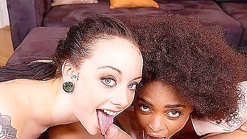 Maille and ready for my pussy